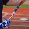 imageVulcan  050mm  100mm  175mm Bat Grip  BaseballSoftball  Multiple ColorsOld Glory