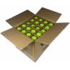 imageVulcan  VPRO Flight Outdoor Pickleball Official Ball of The PPA Tour ampamp MLP  3 6 12 36 ampamp 100 Ball Pack  HiVis Yellow100Pack  HiVis Yellow