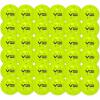 imageVulcan  VPRO Flight Outdoor Pickleball Official Ball of The PPA Tour ampamp MLP  3 6 12 36 ampamp 100 Ball Pack  HiVis Yellow36Pack  HiVis Yellow
